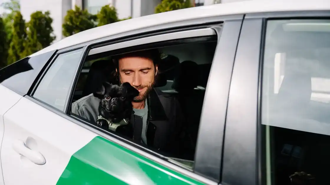 Should you request the Pet category if you have a service dog?