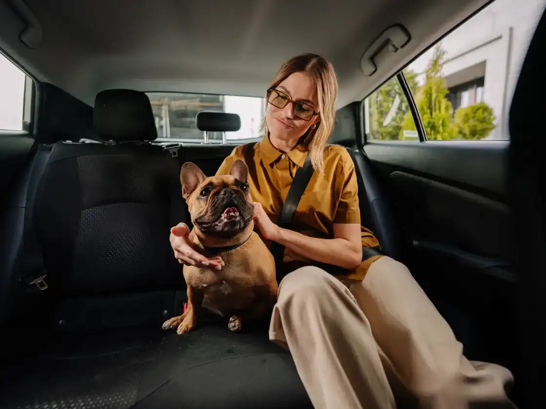 How to book a pet-friendly trip